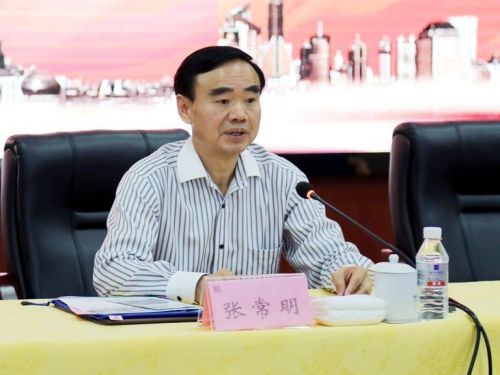 揭秘張常明最新消息，小巷中的隱藏瑰寶