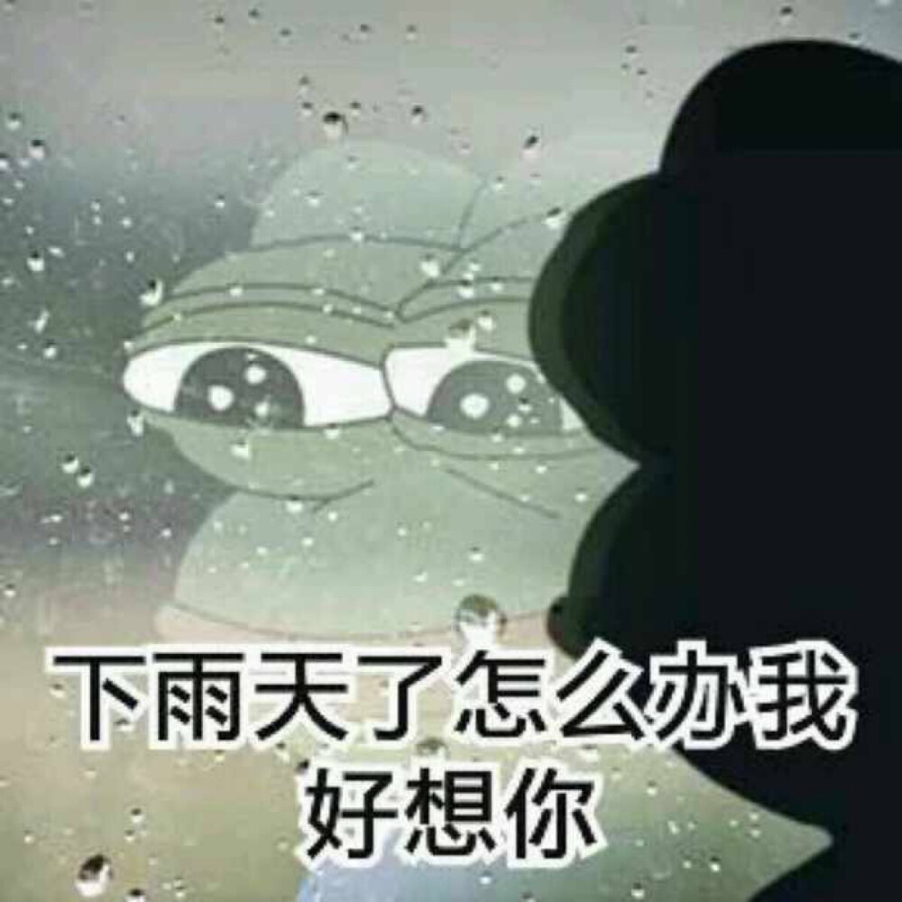 微信下雨表情包，網(wǎng)絡(luò)文化現(xiàn)象的深度探析