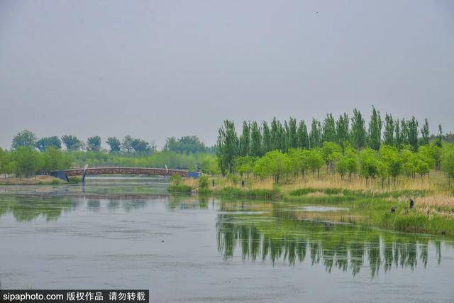 北京馬家灣濕地公園，巷弄綠意與隱秘特色小店探秘