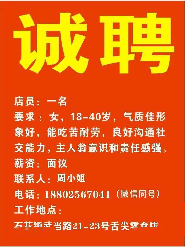 金正陽最新招聘信息發(fā)布，職位空缺及申請(qǐng)指南