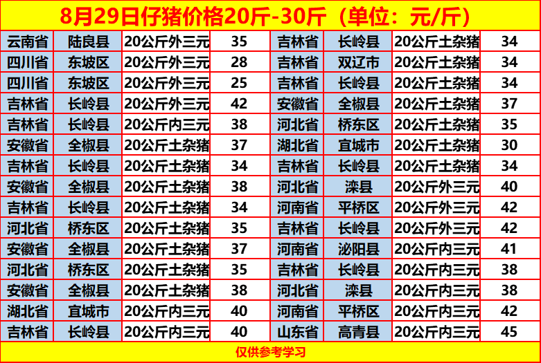 土雜豬最新價(jià)格動(dòng)態(tài)，一場(chǎng)尋找內(nèi)心平靜的旅程